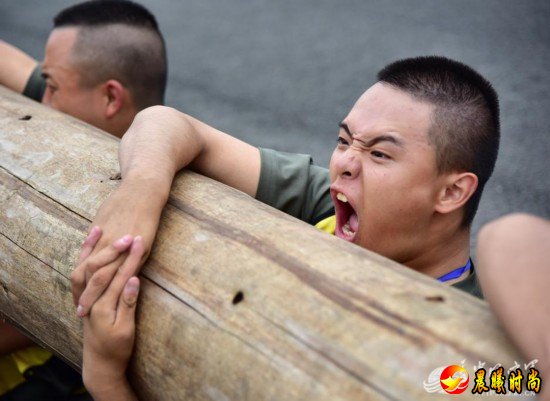 小胖们在日复一日严格的训练中学会了服从