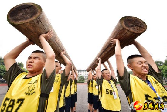 小胖们在日复一日严格的训练中学会了服从