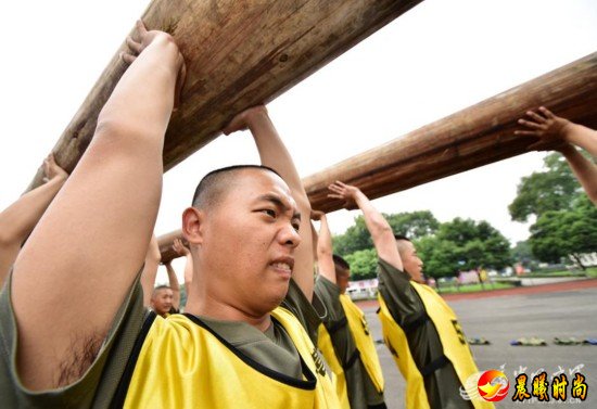 小胖们在日复一日严格的训练中学会了服从