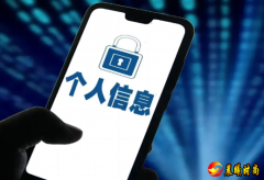 151人贩卖个人信息获利4300万被抓获 网民
