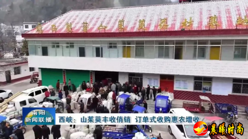 西峡山茱萸入选全国名优农产品名单 助力仲景中医药高质量发展