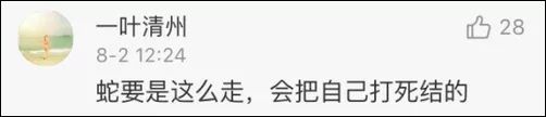 奔上海去了…… 江浙沪沿海人民：你到底来不来？给个痛快！ “云雀”：我没想好来不来