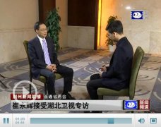直通省两会：崔永辉接受湖北卫视专访