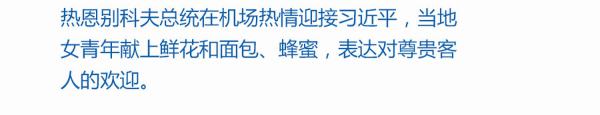 七次国事访问，习近平受到这些“特殊”礼遇