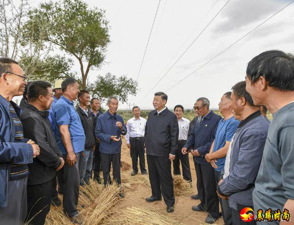 习近平深入甘肃省古浪县农村林场考察调研