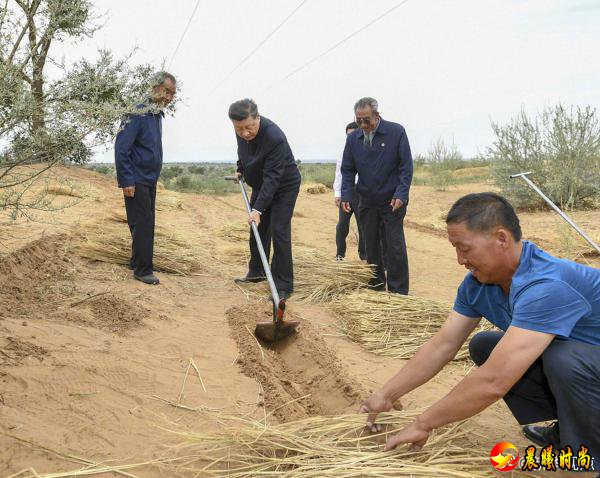 习近平深入甘肃省古浪县农村林场考察调研