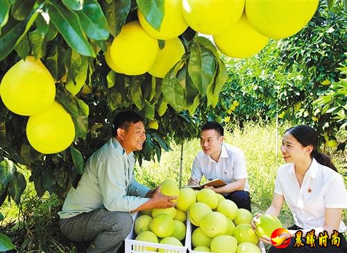 【大美中国】金秋时节庆丰收