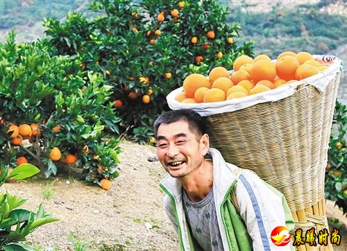 【大美中国】金秋时节庆丰收