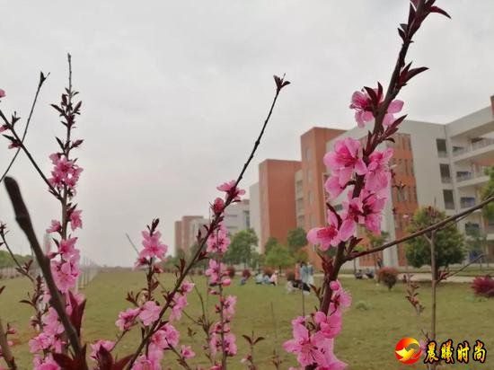 雨里裹蜜 花瓣洗尽绚丽的色彩 显露春天最轻柔的白 江西水利职业学院 江西洪州职业学院 三月酥风暖阳 百花齐放 这一簇簇正是风姿绰约 你觉得哪所学校的“校花”最美呢？ 