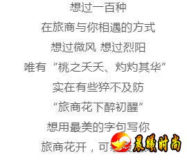 雨里裹蜜 花瓣洗尽绚丽的色彩 显露春天最轻柔的白 江西水利职业学院 江西洪州职业学院 三月酥风暖阳 百花齐放 这一簇簇正是风姿绰约 你觉得哪所学校的“校花”最美呢？ 