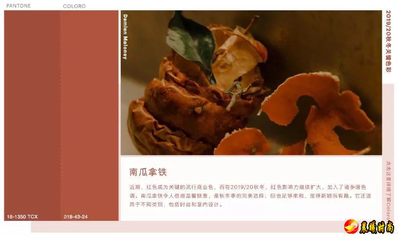 趋势丨WGSN 2019/20秋冬针织主流趋势解析(图26)