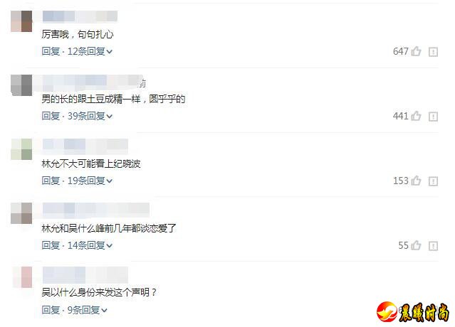 吴佩慈回应纪晓波和林允绯闻 网友：厉害了 句句扎心