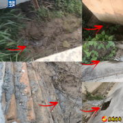 记者调查：村里灌溉水渠频塌方，粮田“毛细血